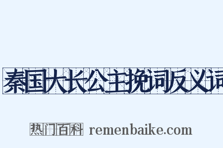 秦国大长公主挽词反义词是什么意思的图片